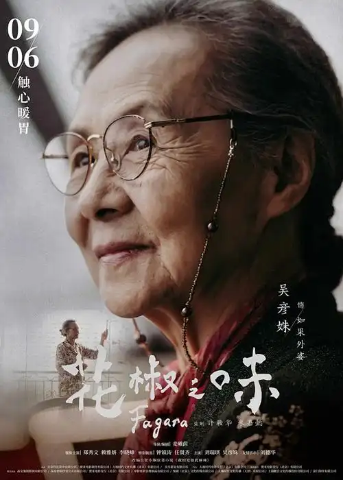 苍穹之剑 海报